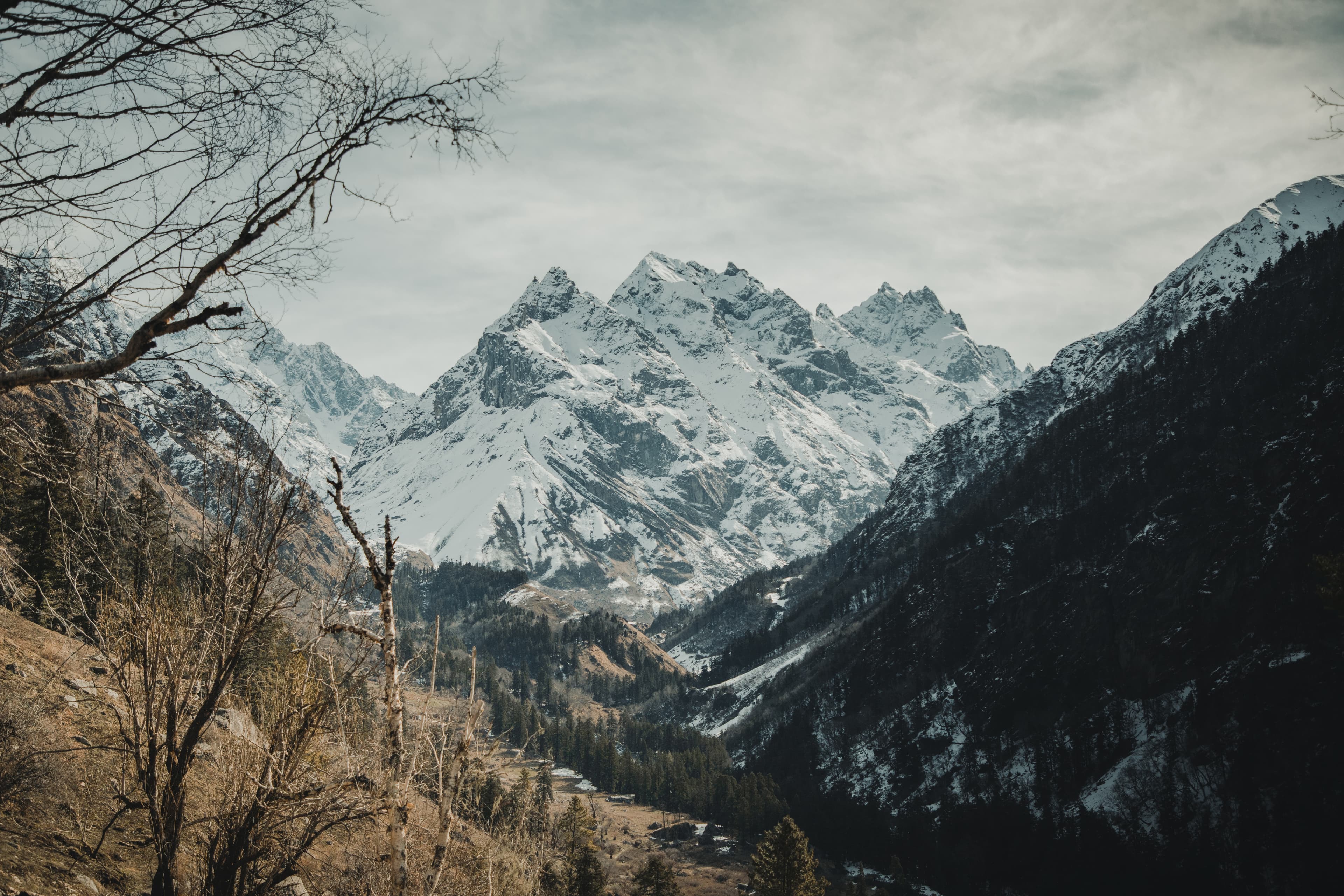 Dayara Bugyal Trek right bottom right