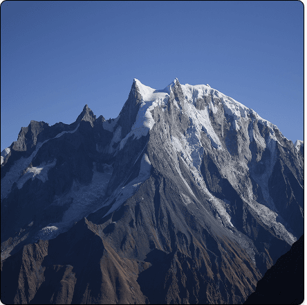Top 5 Rhododendron Treks in the Indian Himalayas