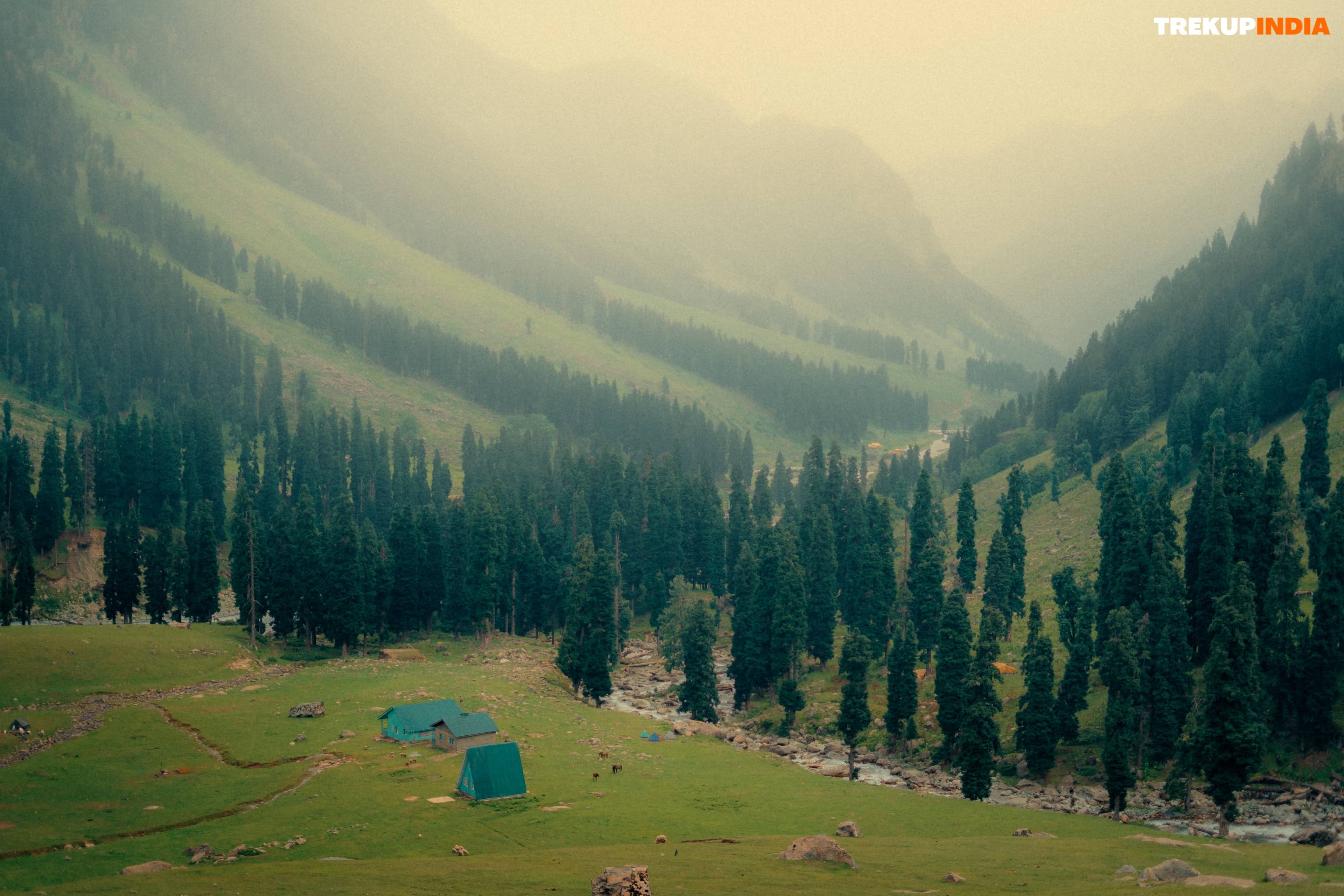 Tarsar Marsar Trek - Temporarily Suspended — Trekup India