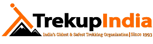 Header image logo